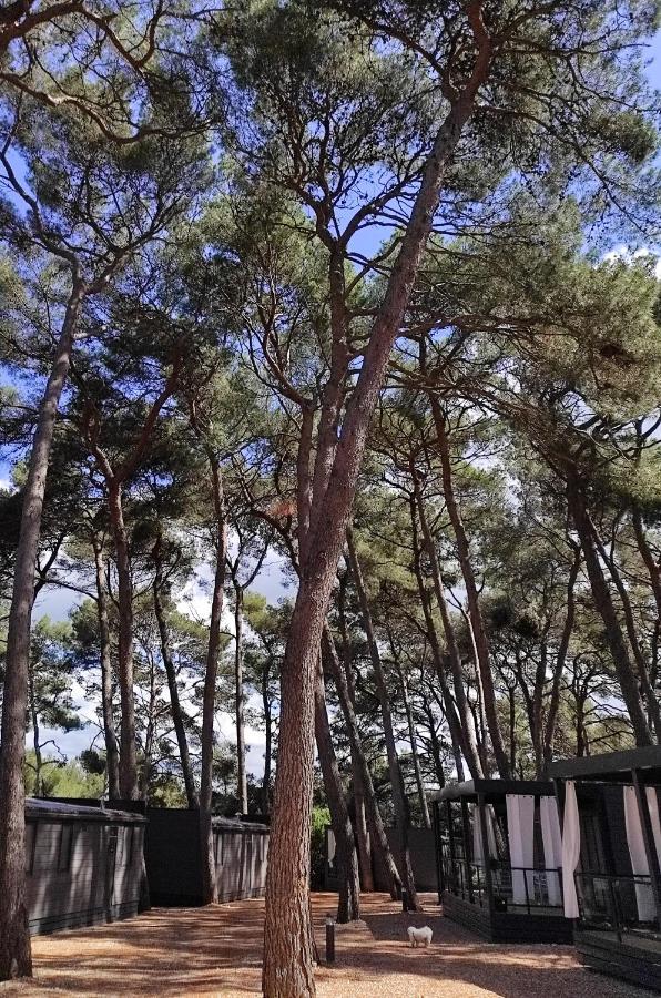 Mobile Home More Porton Nature Hideouts Rovinj Exteriör bild